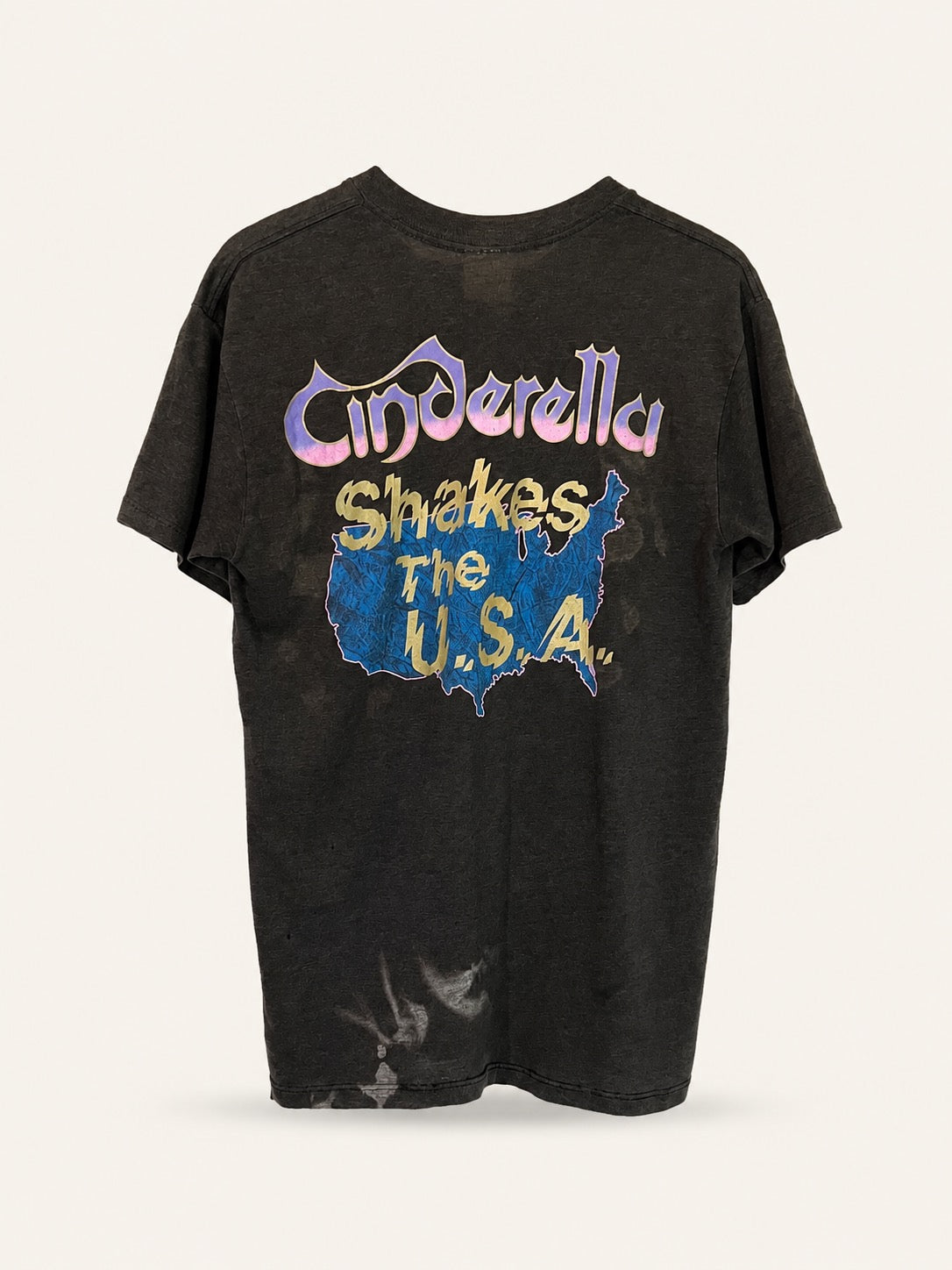 Vintage Cinderella tee