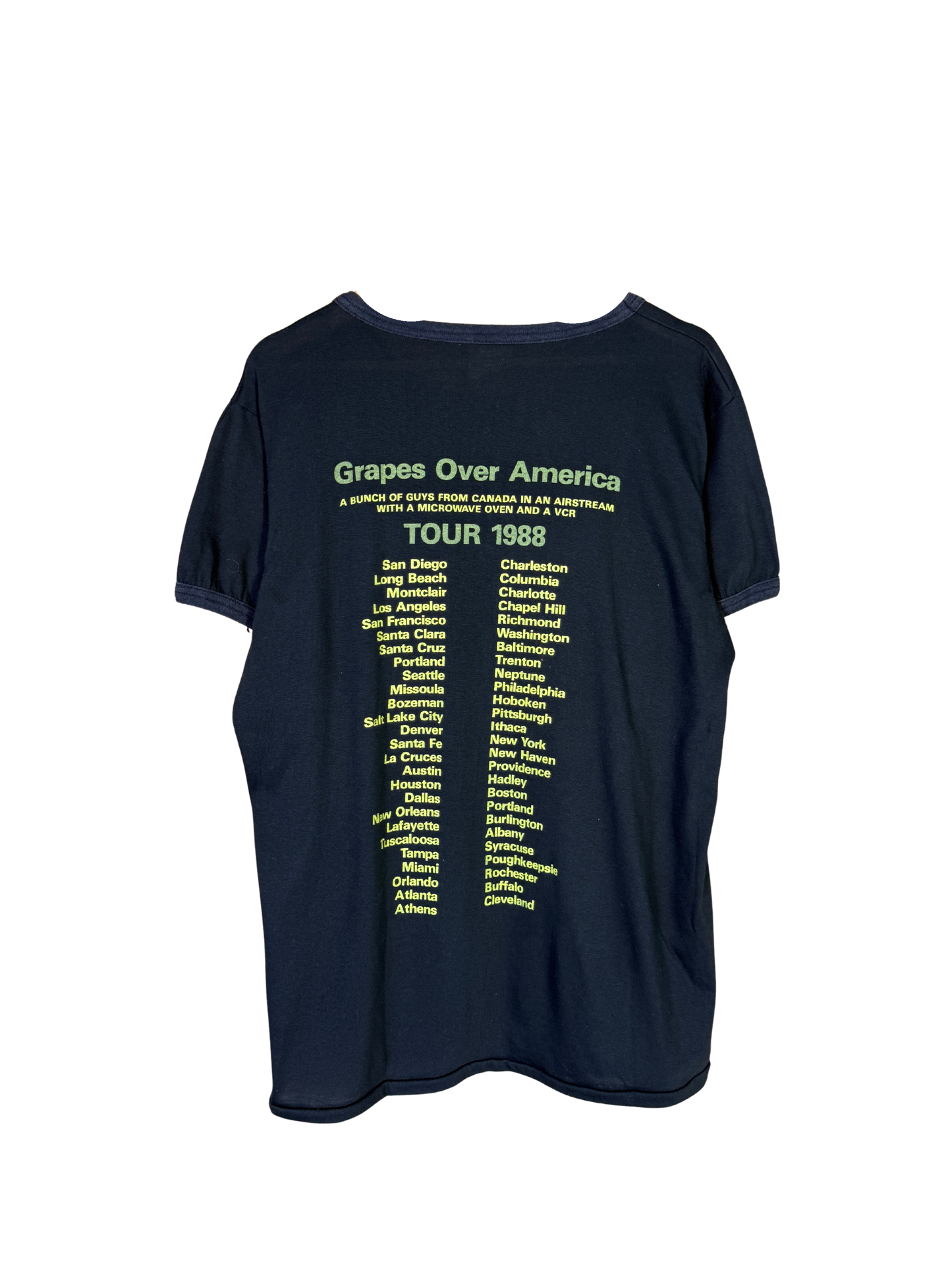 Vintage 80s Grapes over America tee