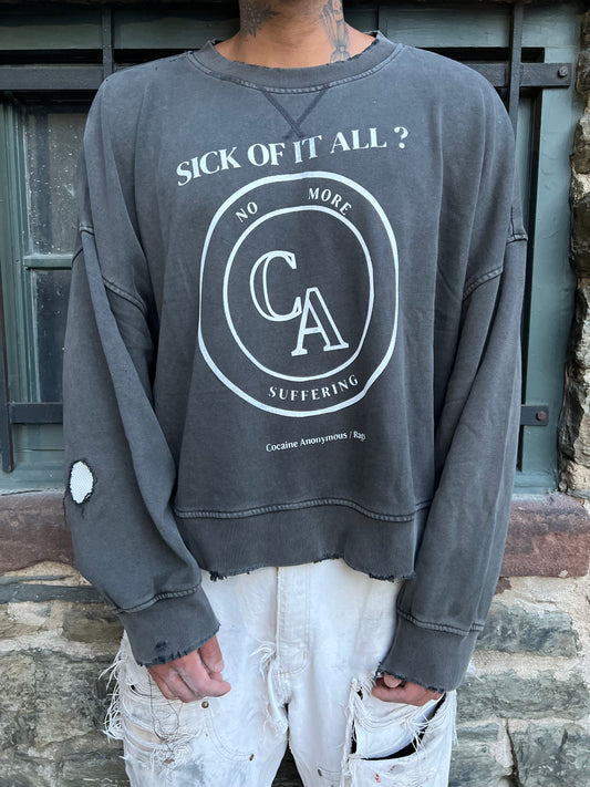 Sick of It all Cocaine Anonymous