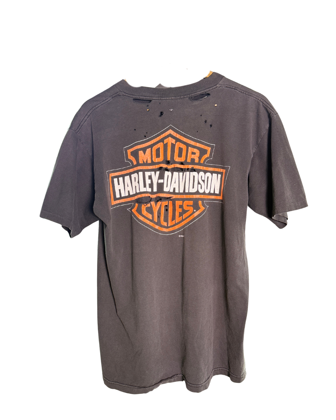 Vintage Harley Davidson Hottest sound