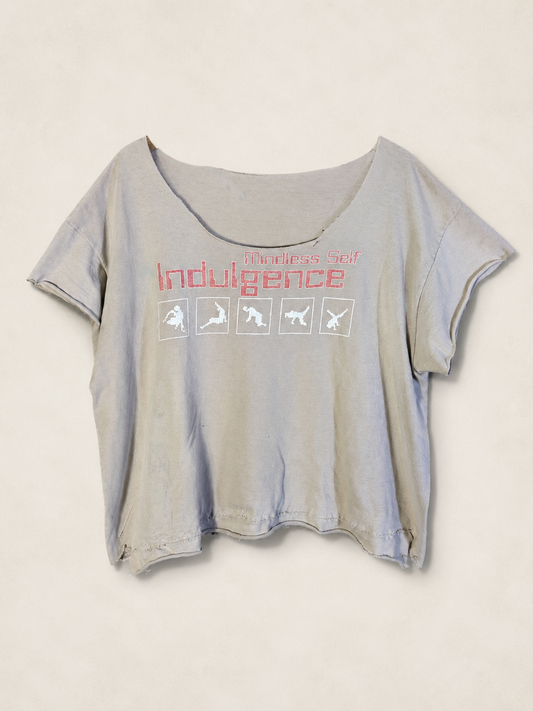 Vintage mindless self indulgence crack tee
