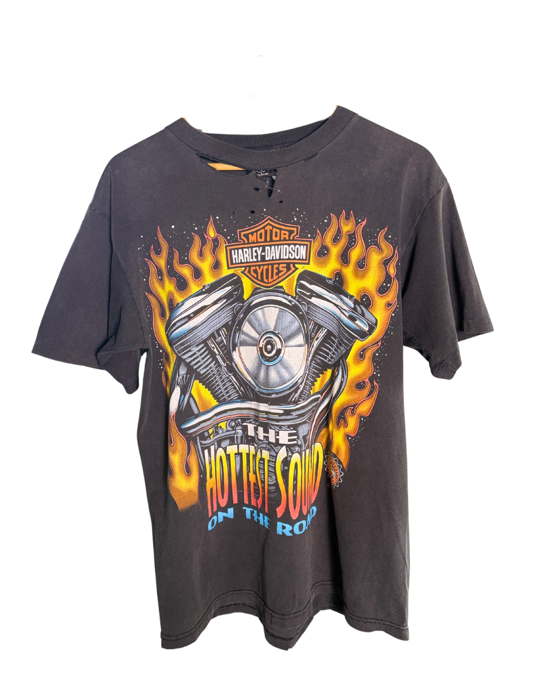 Vintage Harley Davidson Hottest sound